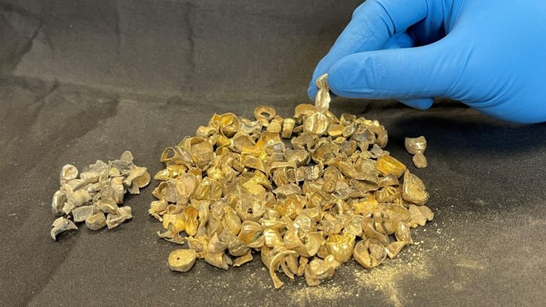 ‘Strange and puzzling’ investigation involving dental gold recovered by police.